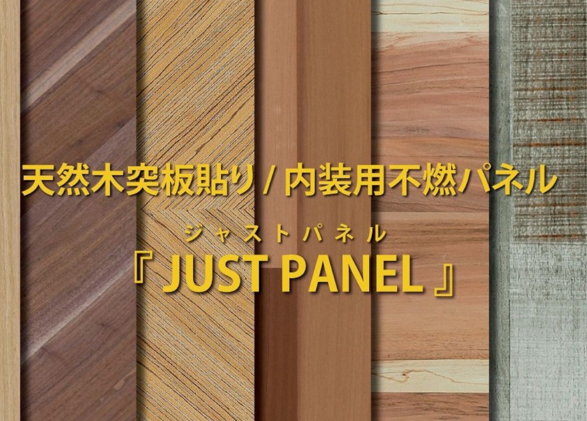 JUST PANEL